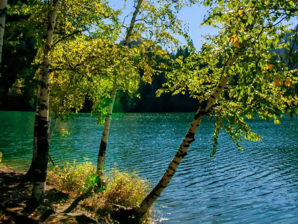 A photograph of blue tropical waters